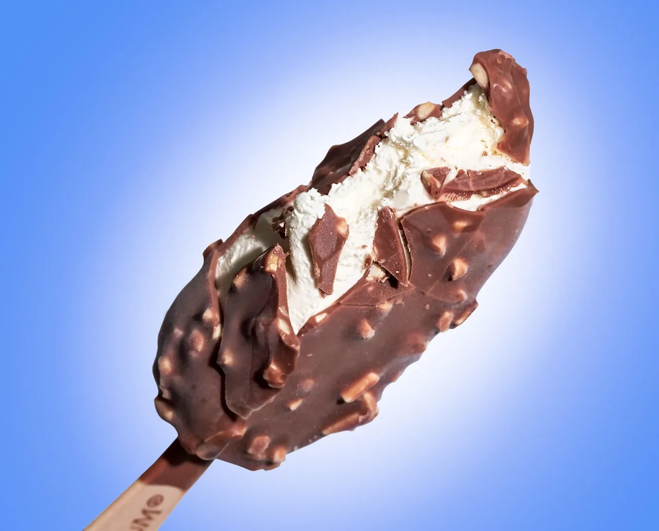 ice cream, chocolate, dessert, frozen, nature, vanilla, ice-cream, snack, cool, summer, cold, sweet, delicious, treat, refreshing, icecream, dairy product, magnum ice cream. Ice cream shop regulation: four layers of oversight and who to ask at each