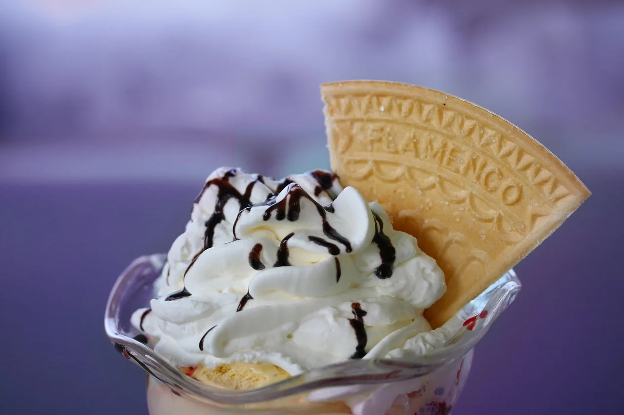 ice cream, cup, whipped cream, wafer, sweet-shop, whipped cream, whipped cream, whipped cream, whipped cream, whipped cream, wafer, wafer, wafer. Ice cream shop software: the records to keep