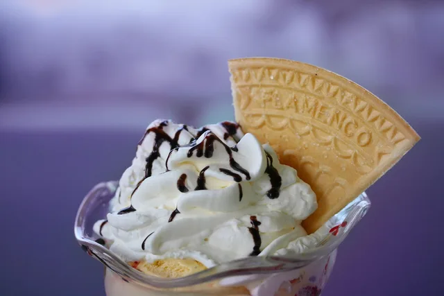 ice cream, cup, whipped cream, wafer, sweet-shop, whipped cream, whipped cream, whipped cream, whipped cream, whipped cream, wafer, wafer, wafer. Ice cream shop software: the records to keep